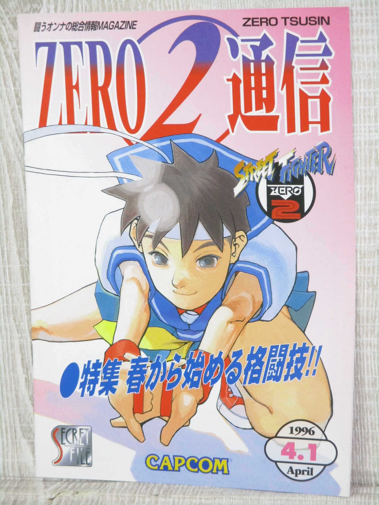 CAPCOM SECRET FILE No.3 STREET FIGHTER ZERO 2 Arcade Art Book 1996