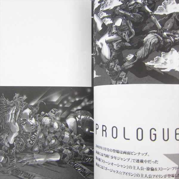 HIROHIKO ARAKI Works in Ultra Jump 2003-2013 Art Fan Book