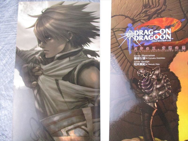 文学・小説 DRAG-ON DRAGOON Story Side Drag-On Dragoon Story