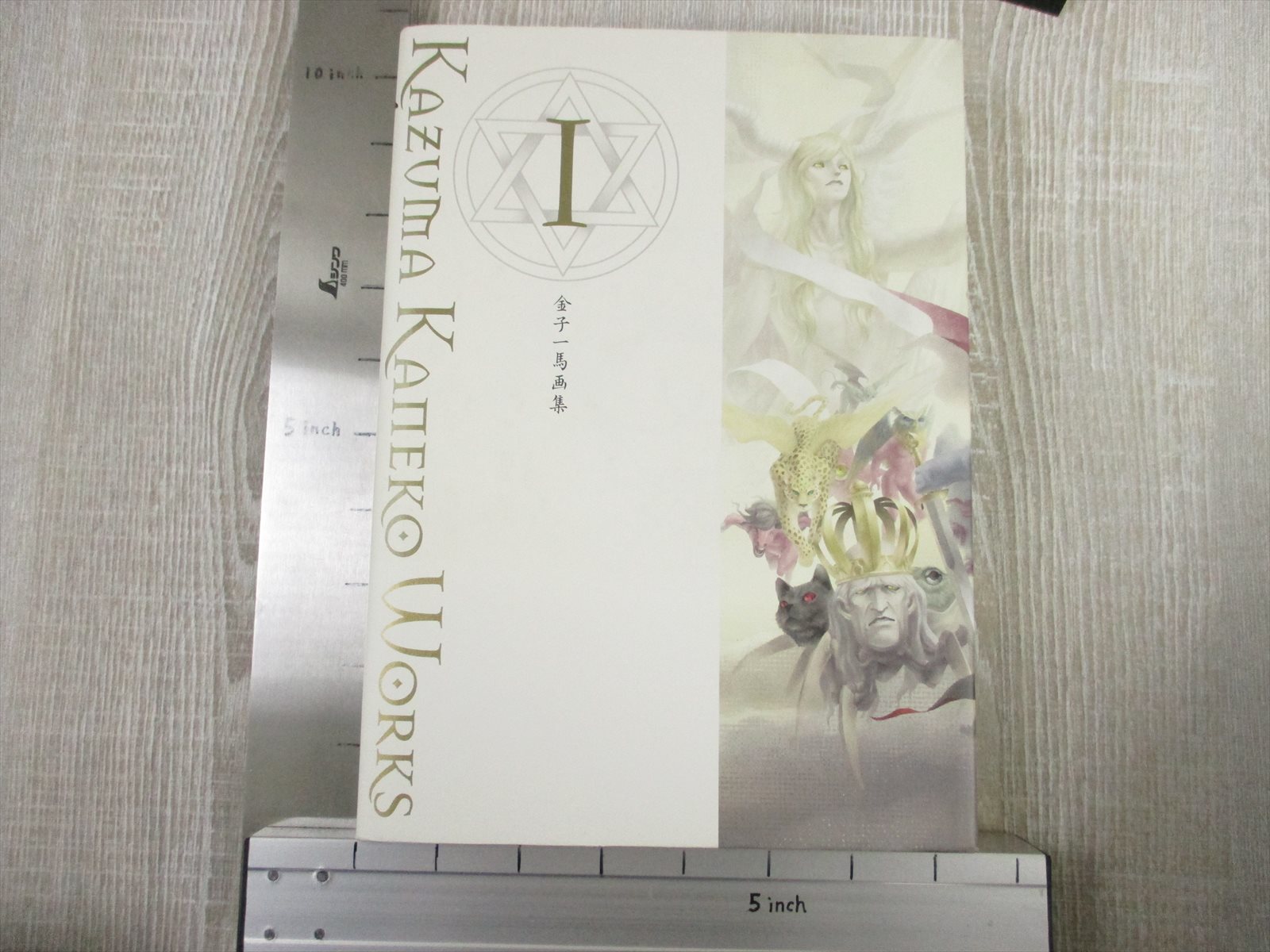 Kazuma Kaneko Gashu I 1 W Booklet Plastic Sheet Art Book 04 See Condition Ebay