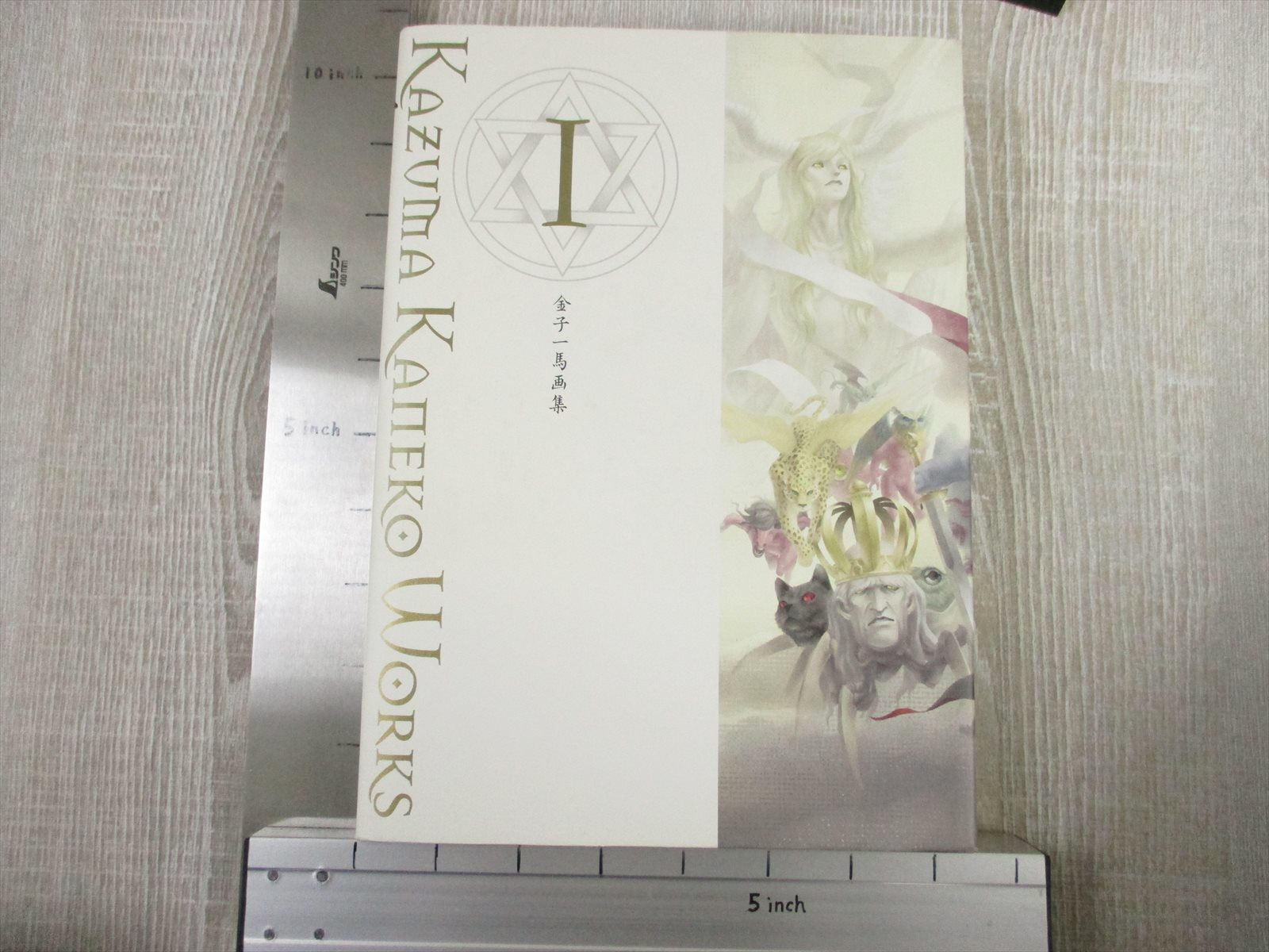 Kazuma Kaneko Gashu I 1 W Booklet Plastic Sheet Art Book 04 See Condition Ebay Kazuma Kaneko Gashu I 1 W Booklet Plastic Sheet Art Book 04 See Condition Ebay