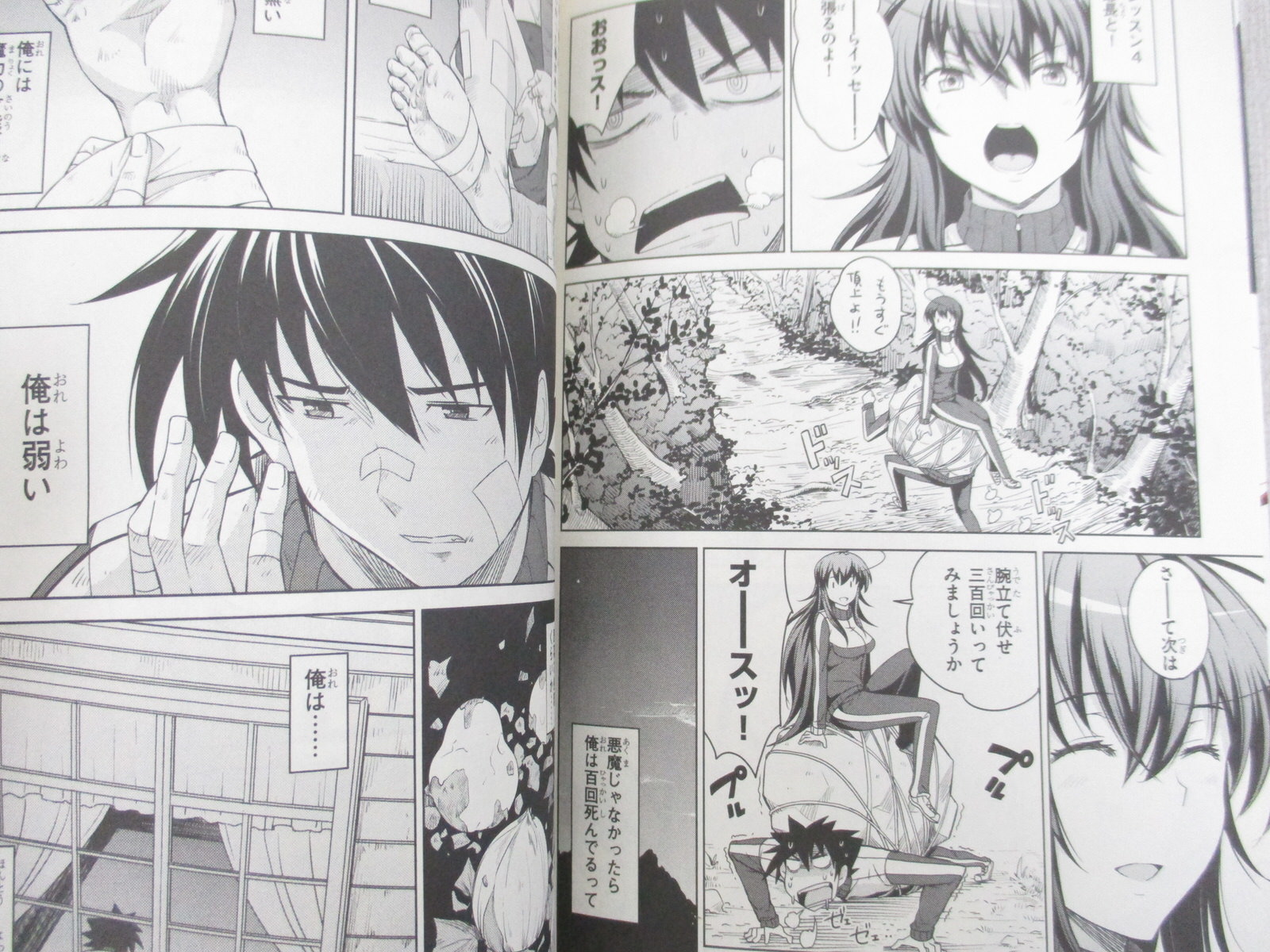 High School DxD Comic English Complete Series Manga Vol 1-11(END) Himejima  Akeno