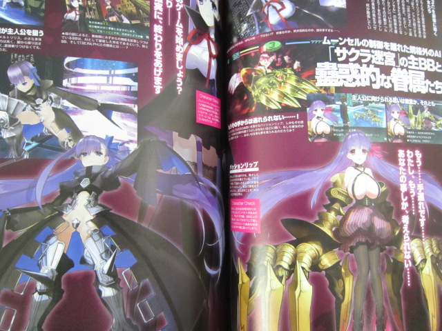 TYPE-MOON ACE Vol.8 Magazine 1/2013 Art Fan FATE Japan Fan