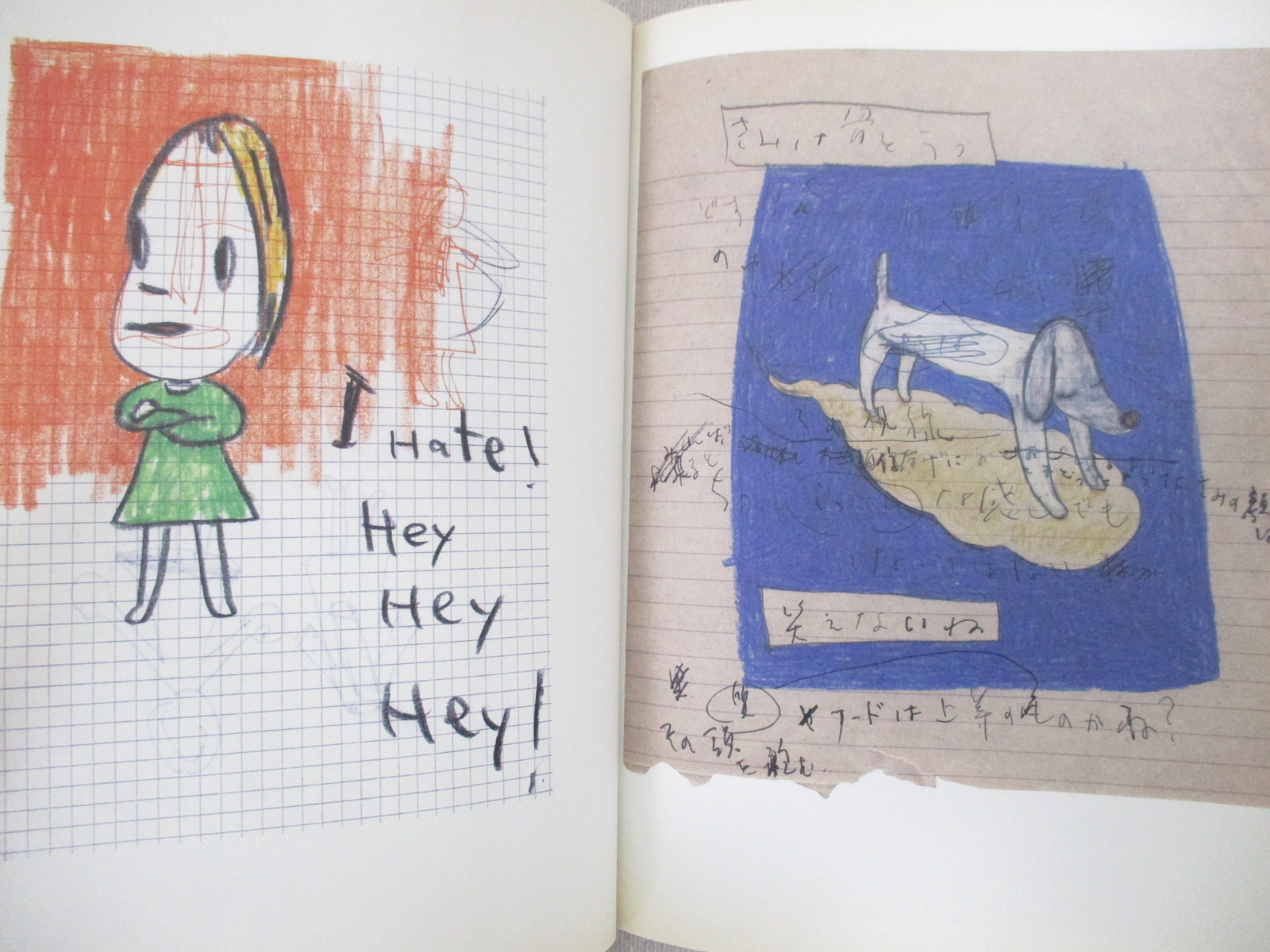 Nobody Knows: Yoshitomo Nara Drawings: Yoshitomo Nara