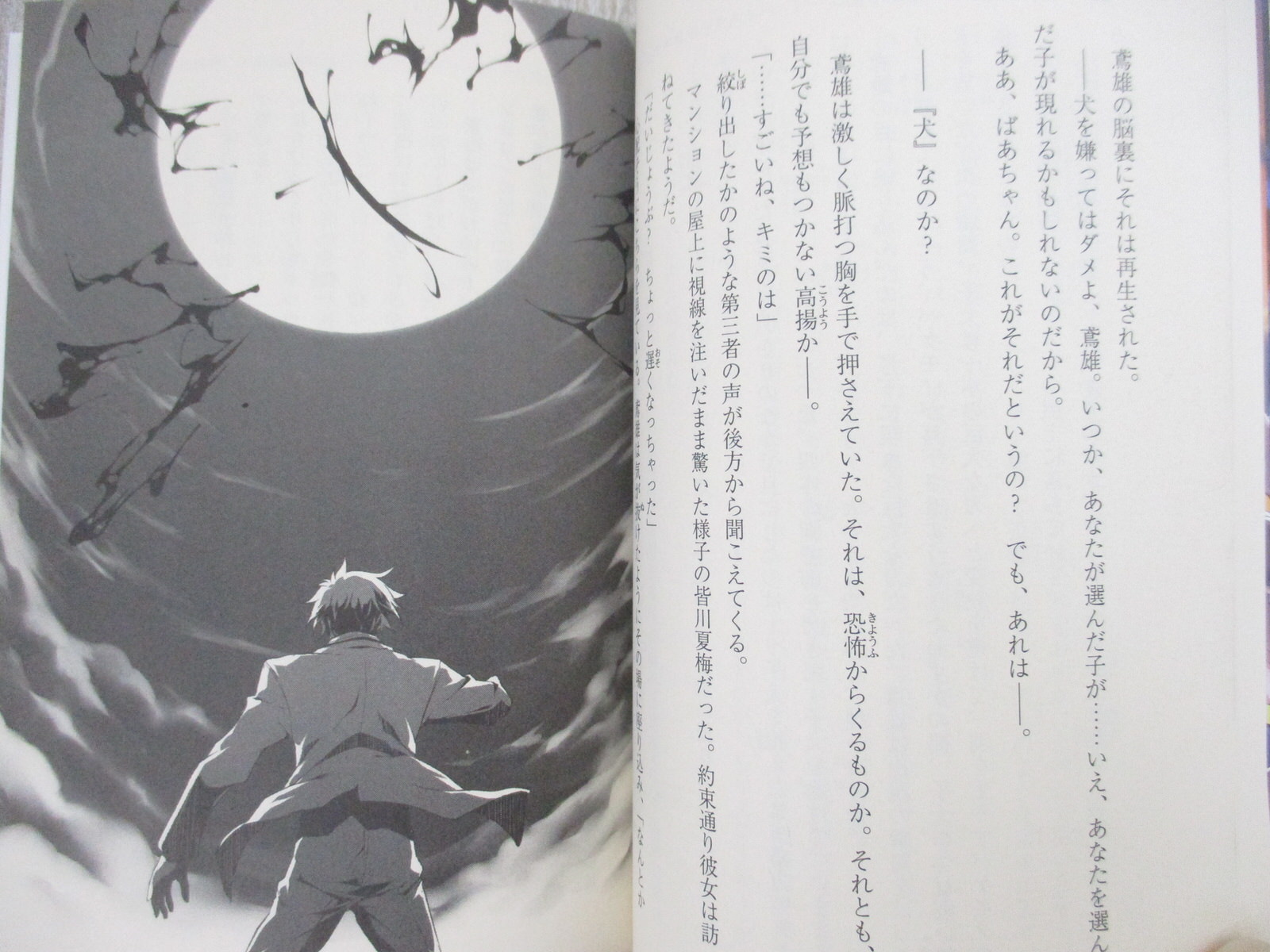 HIGHSCHOOL D X D SLASH/DOG Novel Complete Set 1-3 Ichiei