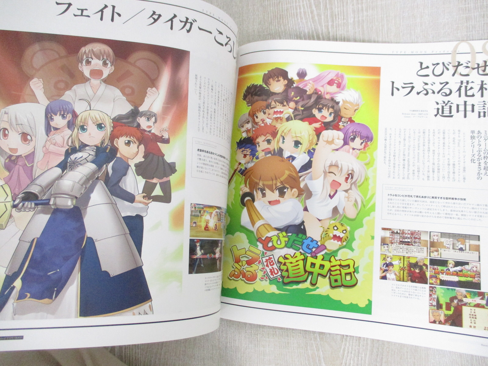 FATE STAY NIGHT Type-Moon 15 Years Exhibition Ltd Art Fan