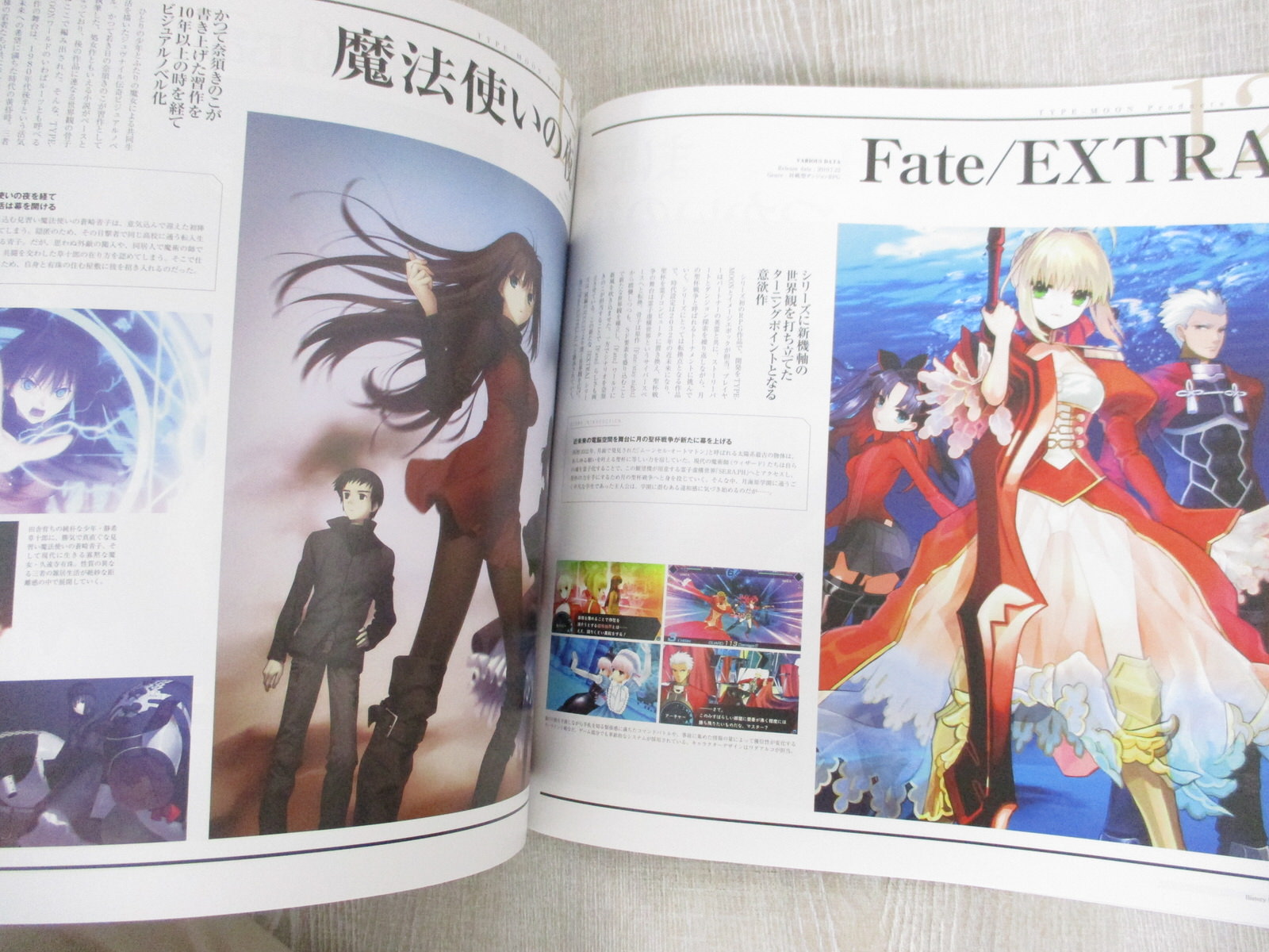 FATE STAY NIGHT Type-Moon 15 Years Exhibition Ltd Art Fan