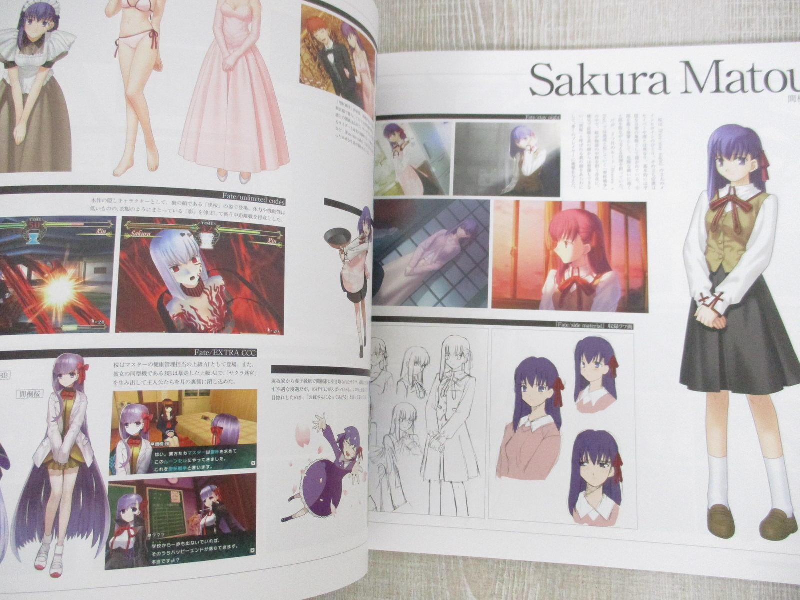FATE STAY NIGHT Type-Moon 15 Years Exhibition Ltd Art Fan