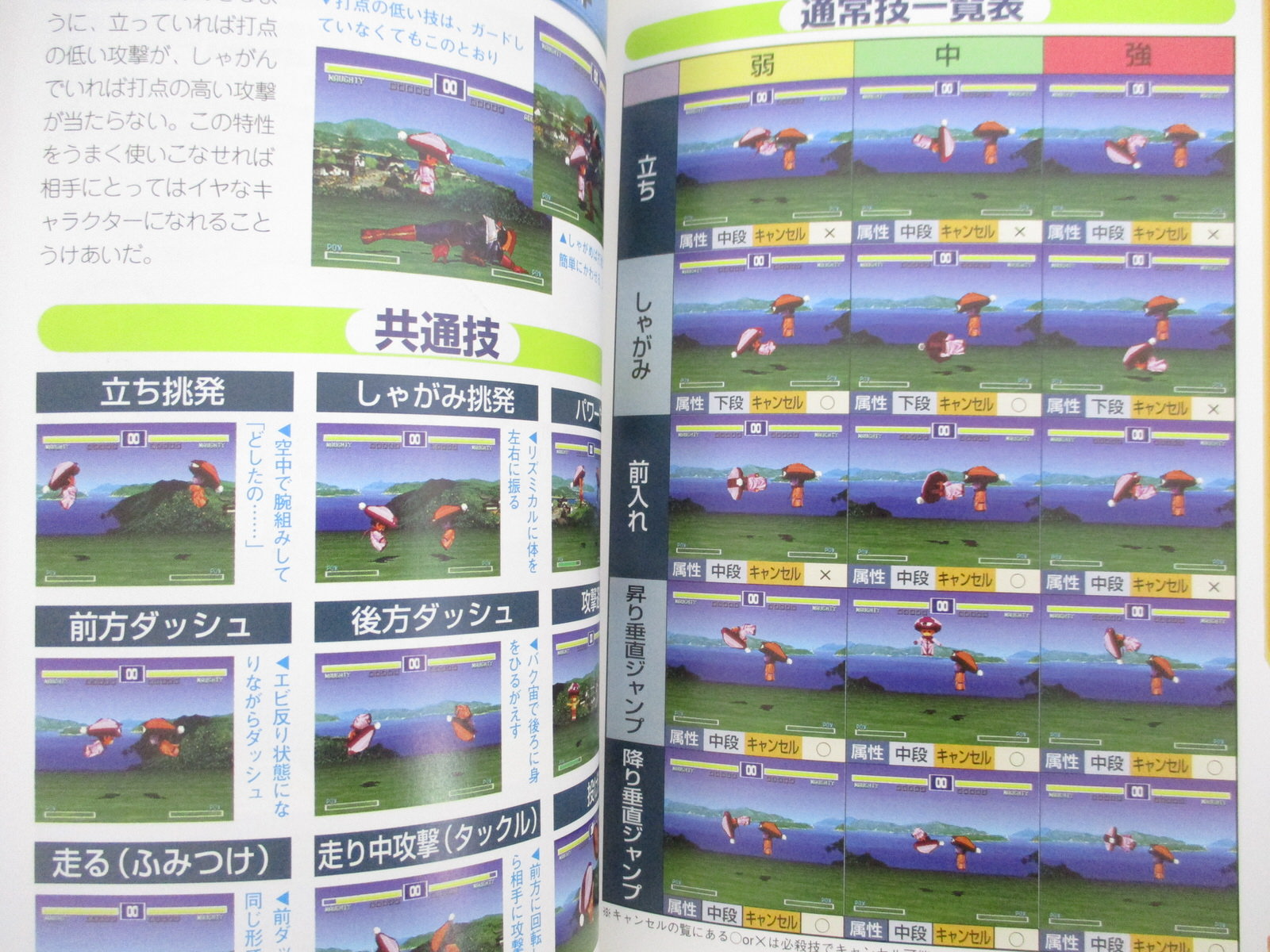 Lightning Legend Daigo No Daibouken Guide Sony Ps Book 1997 Ft7x
