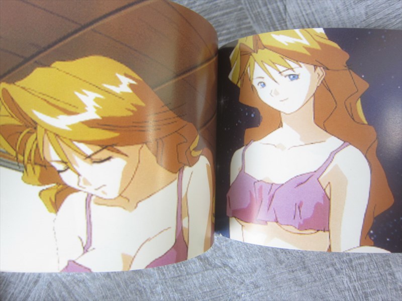 SUPER REAL MAHJONG PVI P6 Mamehon 4 CHRISTINE GARLAND PC Art Fan