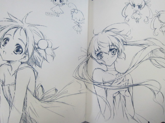 CARNELIAN 原画集 VOL.1 CARNELIAN Art Works JEWEL w/Booklet 2012 Ltd Edition Fan