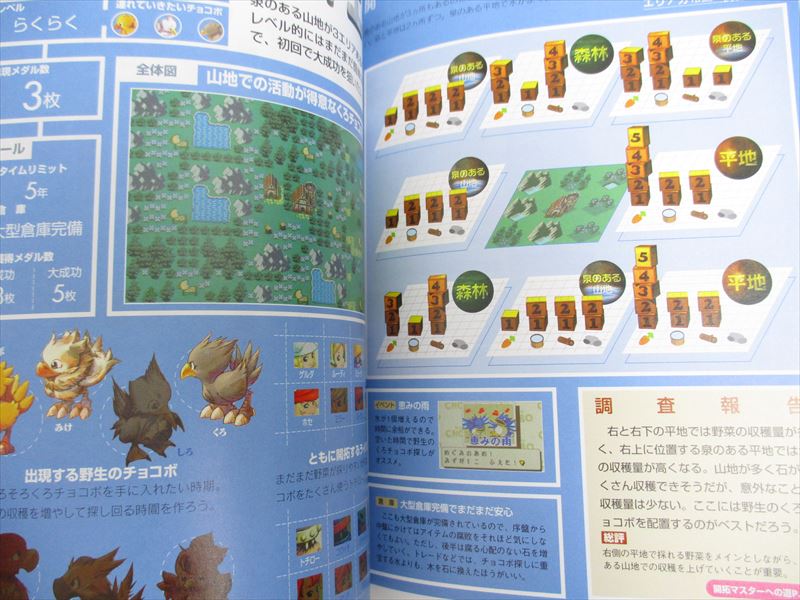 HATARAKU CHOCOBO Pioneer's Guide WonderSwan Japan Book 2000 DC37