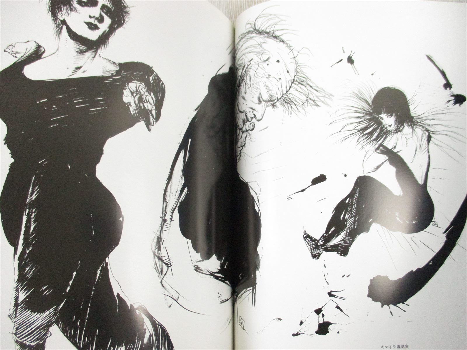 AMANO YOSHITAKA Art Works HITEN Illustration Fan Book Final