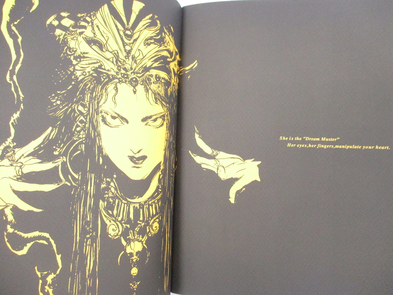 Yoshitaka Amano 非売品 3枚セット Yoshitaka Amano Art Poster First battle B3 14.33x20.28in