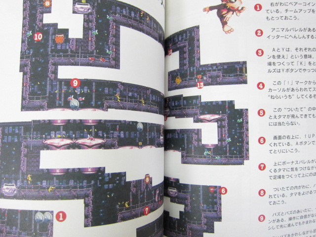 コング　【3】 Donkey Kong 3 | Donkey Kong Wiki | Fandom