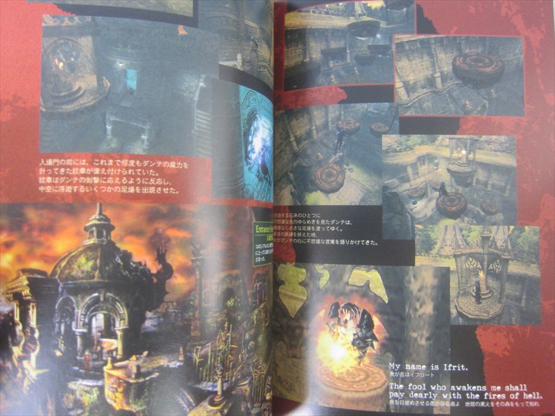 Devil May Cry Memorial Album Precious Tears Art Works Fan