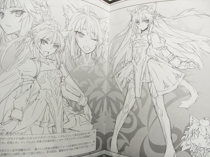FATE / APOCRYPHA Material Art Works 2014 Type-Moon Fan Book