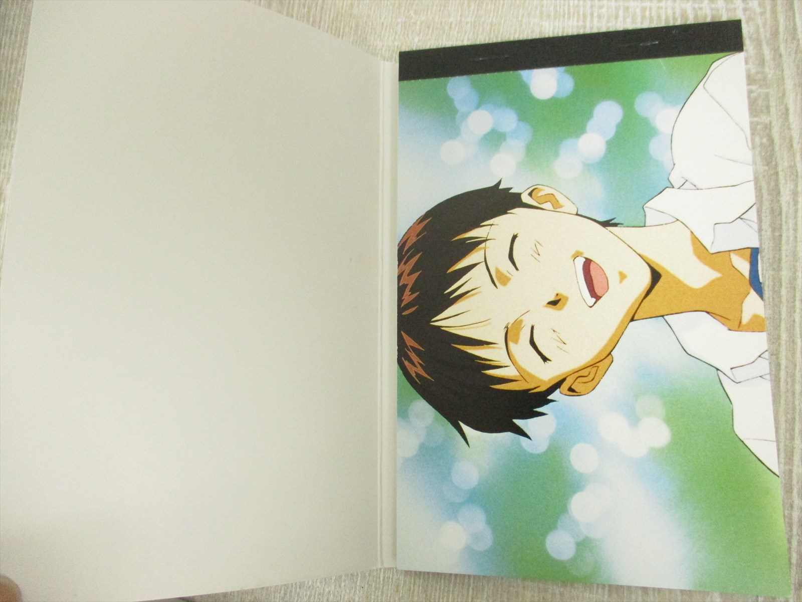 EVANGELION Neo Genesis Postcard Collection Art Fan Book Yoshiyuki