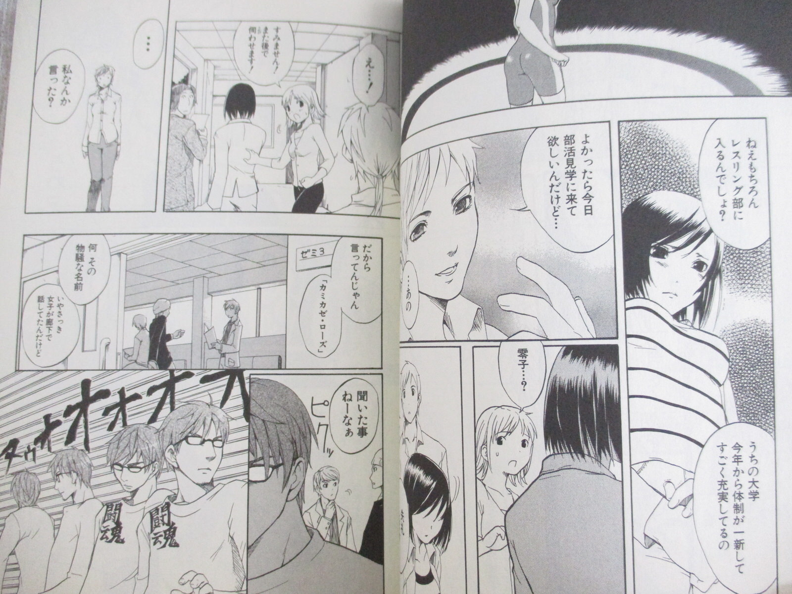 コミック ランブルローズ 1・2巻セット カスカベアキラ RUMBLE ROSES Manga Comic Complete Set 1&2 AKIRA KASUKABE PS2