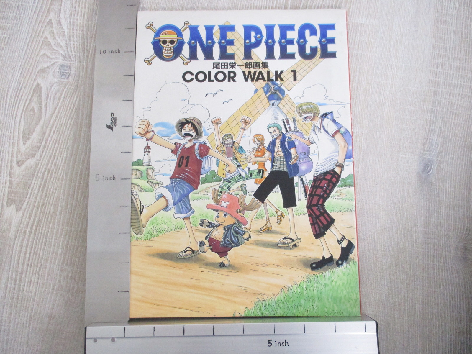 ONE PIECE Art Works Color Walk 1 EIICHIRO ODA Illustration Japan