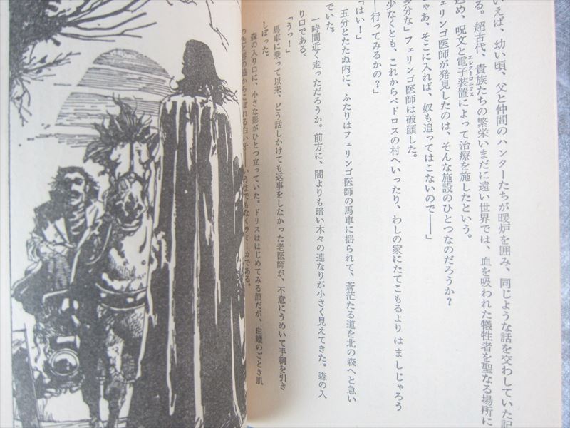 Vampire Hunter D Volume 26 by Hideyuki Kikuchi: 9781630081621 |  : Books