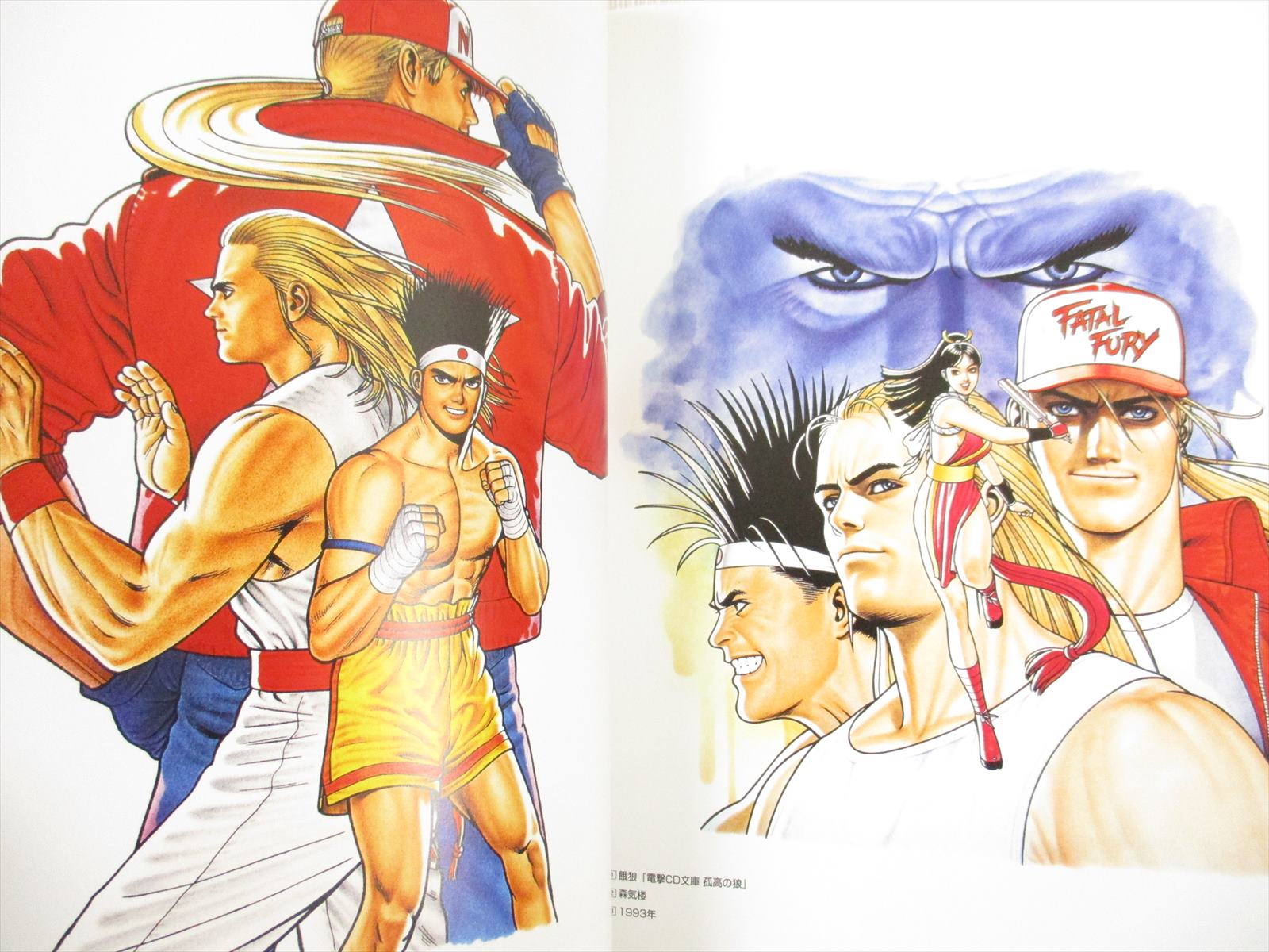 SNK characters all about illustrations … Amazon.com: SNK Characters All Illustrations Perfection (in