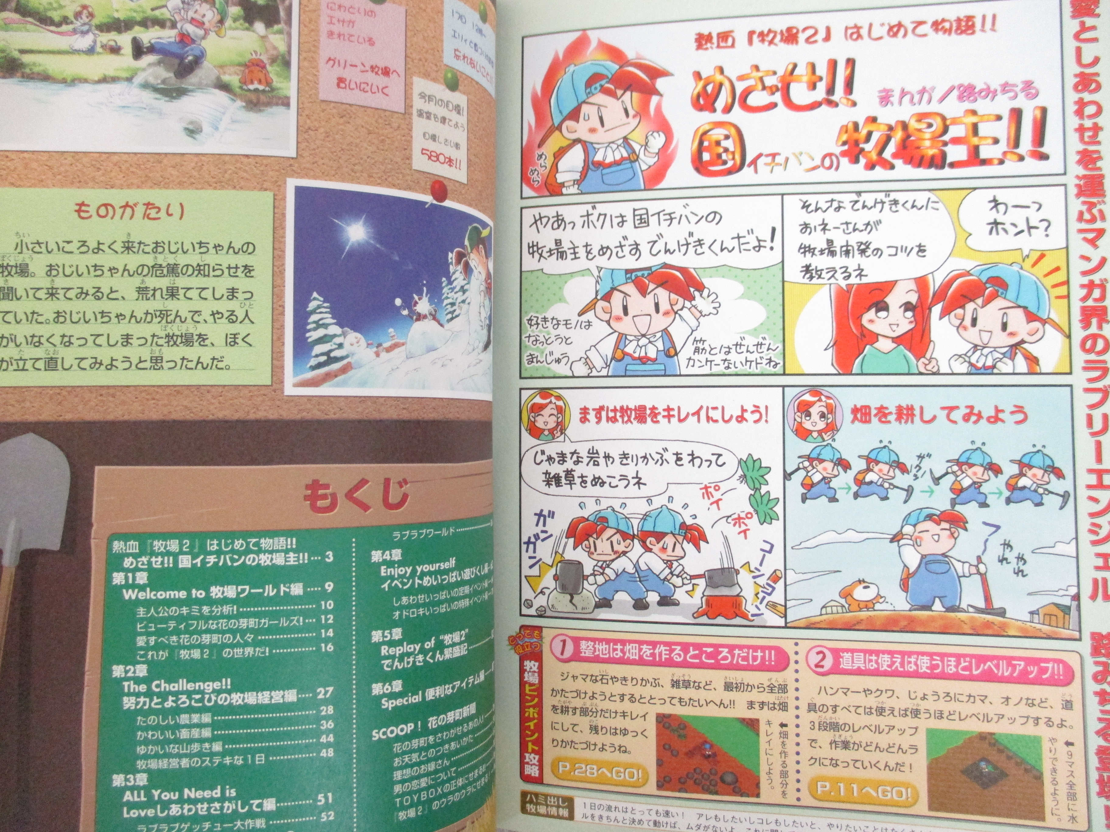 BOKUJOU MONOGATARI 2 Harvest Moon Guide Nintendo 64 Book