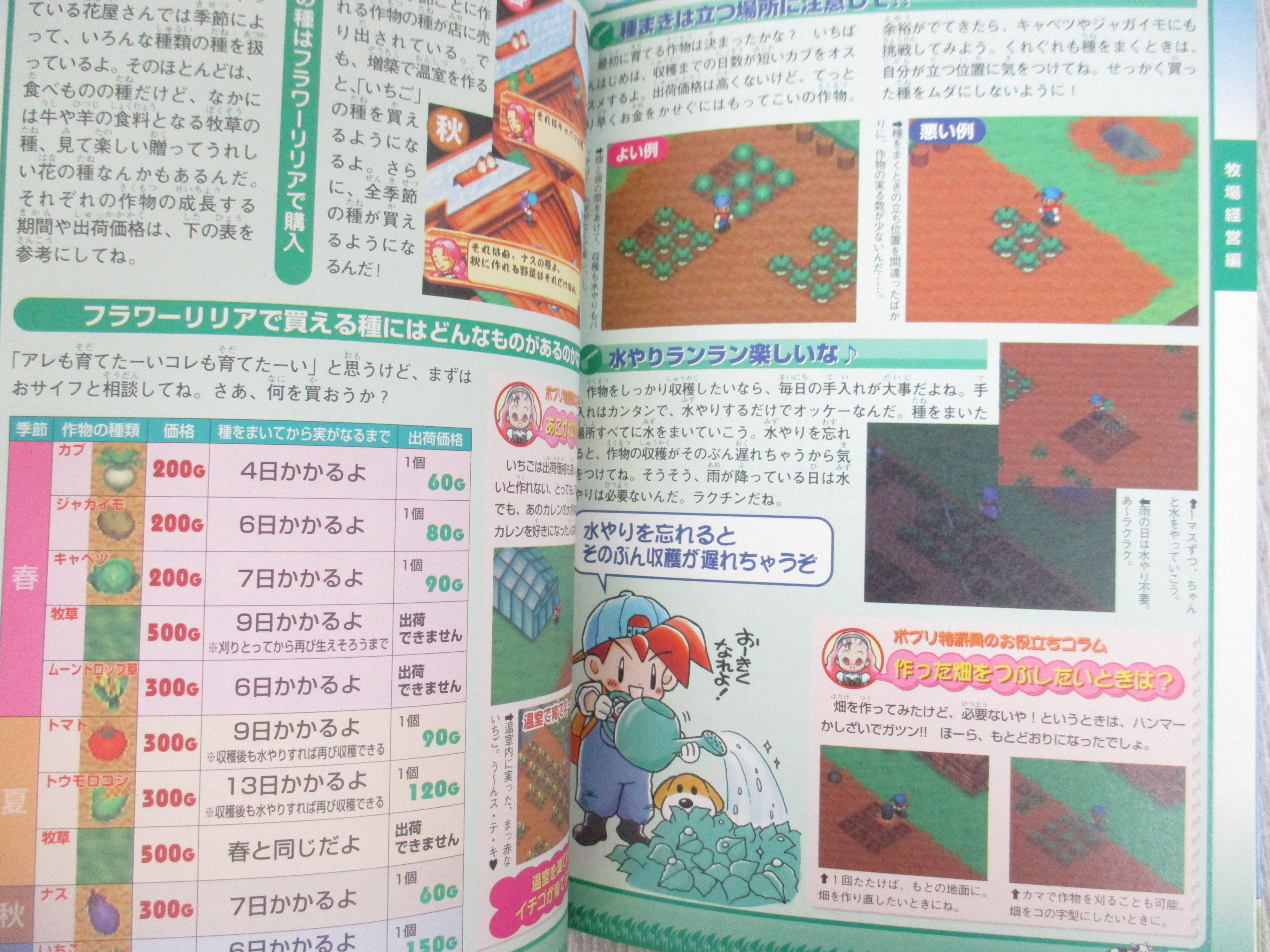 ぷよぷよ SUN 任天堂 NINTENDO 64 ゲームソフト｜Yahoo!フリマ