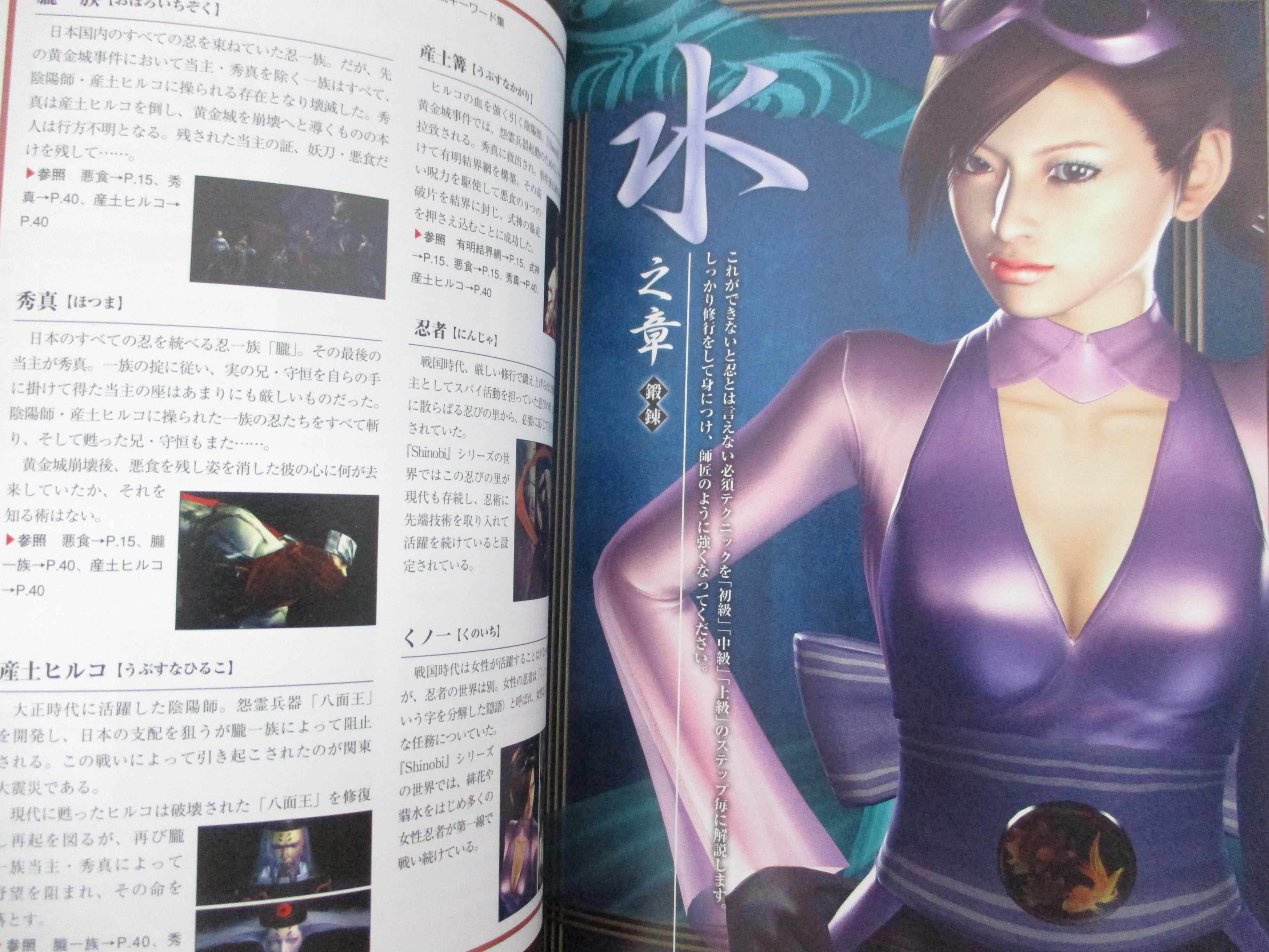 期間限定特別価格 KUNOICHI 2003 Book Japan PS2 Sony Guide Official SHINOBI テント・タープ