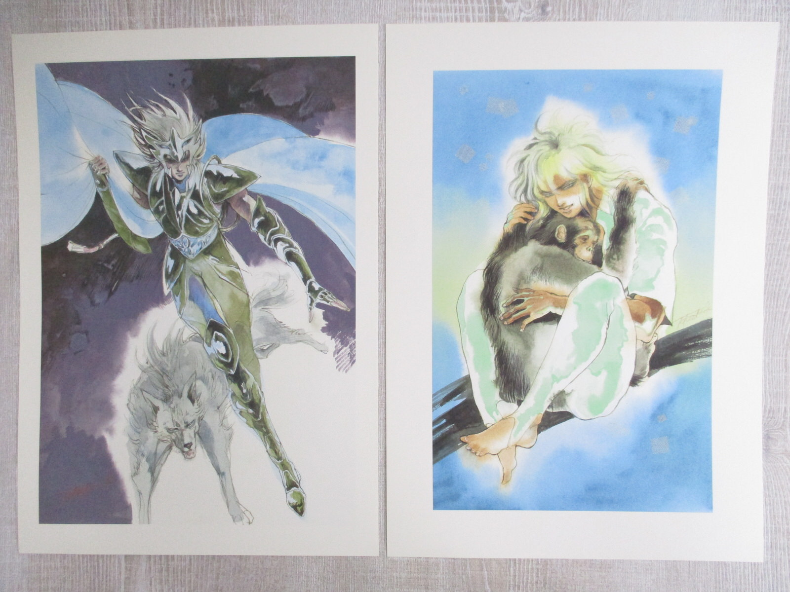 CDJapan : SaGa Series Artworks by Tomomi Kobayashi Harmony