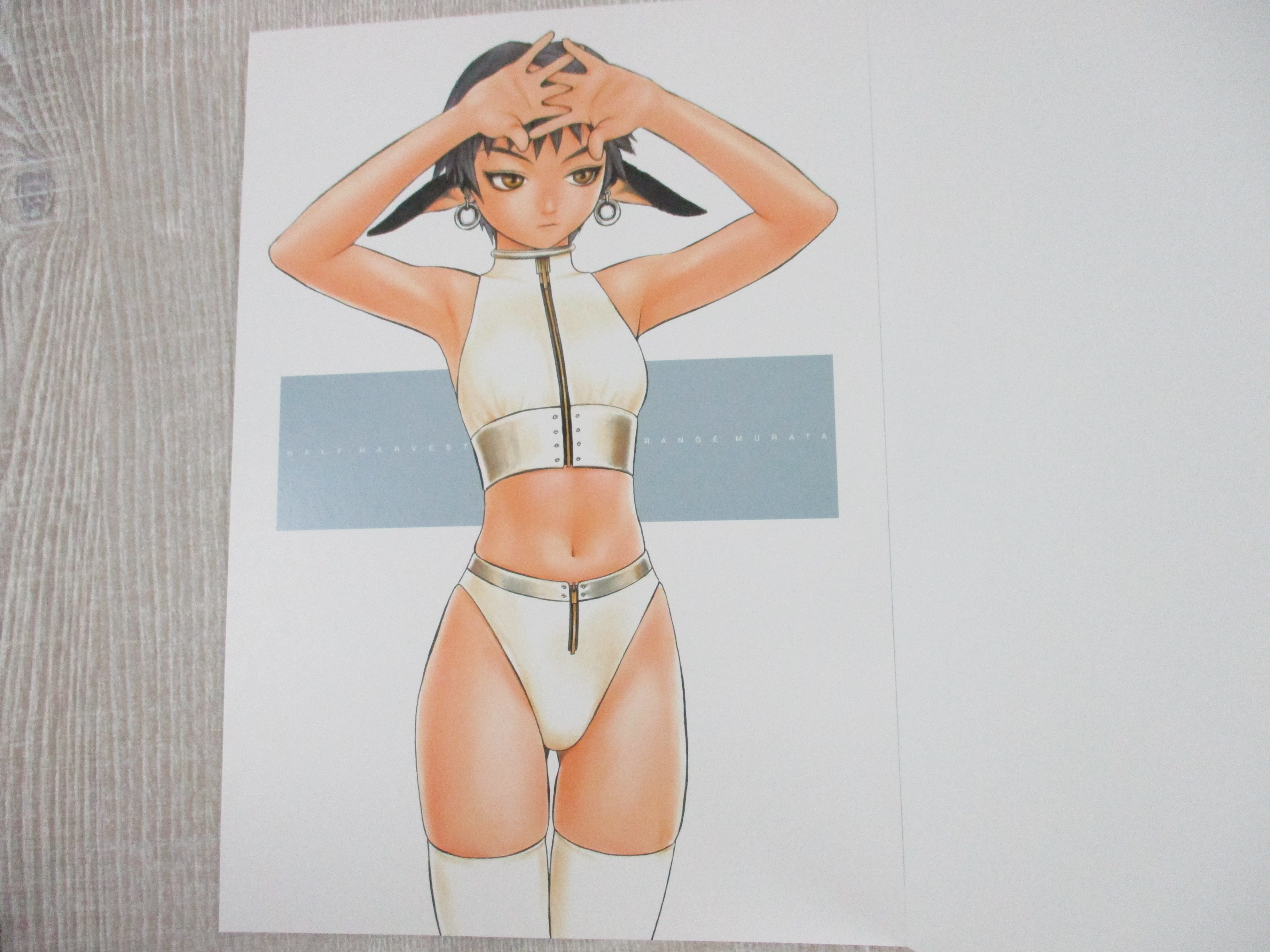 村田蓮爾画集セット LIKE A BALANCE LIFE futurhythm Amazon.com: Like a balance life: 9784898294543: Range Murata