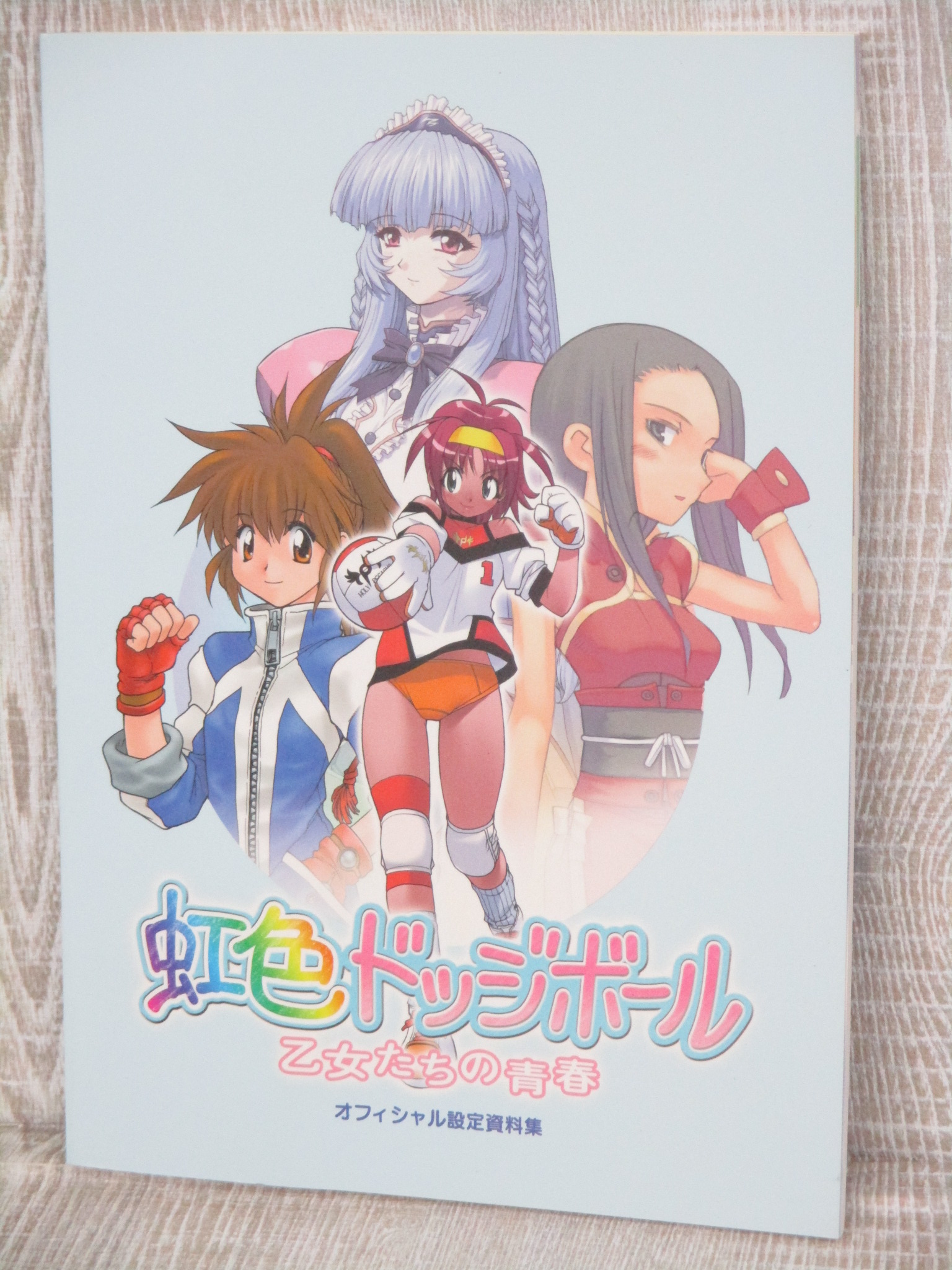 NIJIIRO DODGEBALL Otometachi no Seishun Official Art Works PS1 Fan