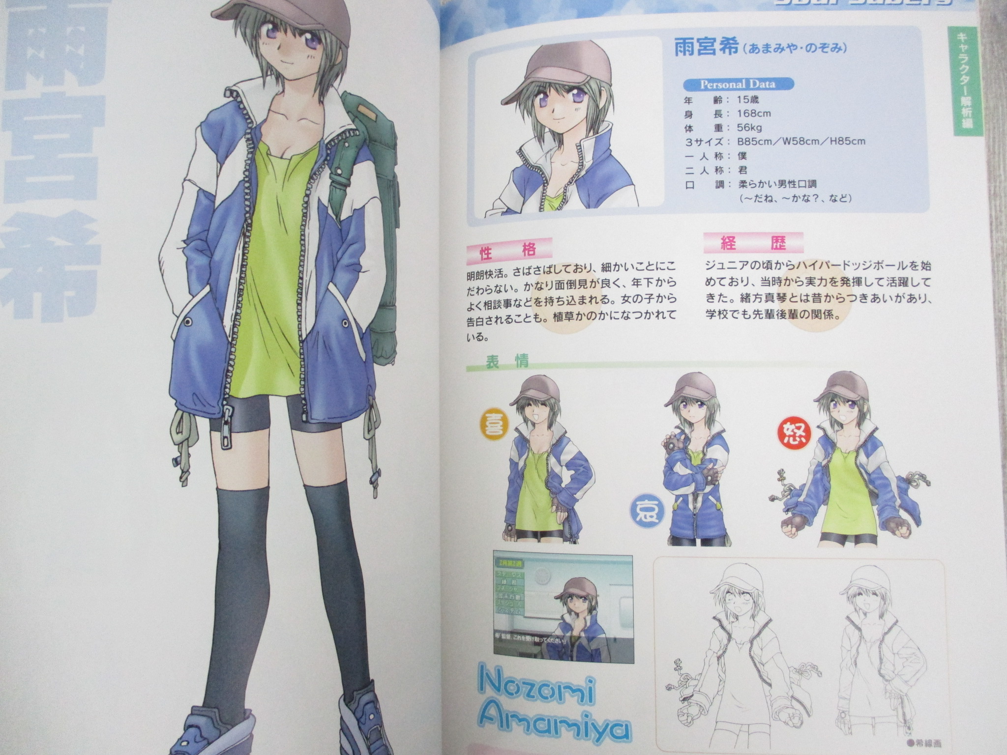 NIJIIRO DODGEBALL Otometachi no Seishun Official Art Works PS1 Fan