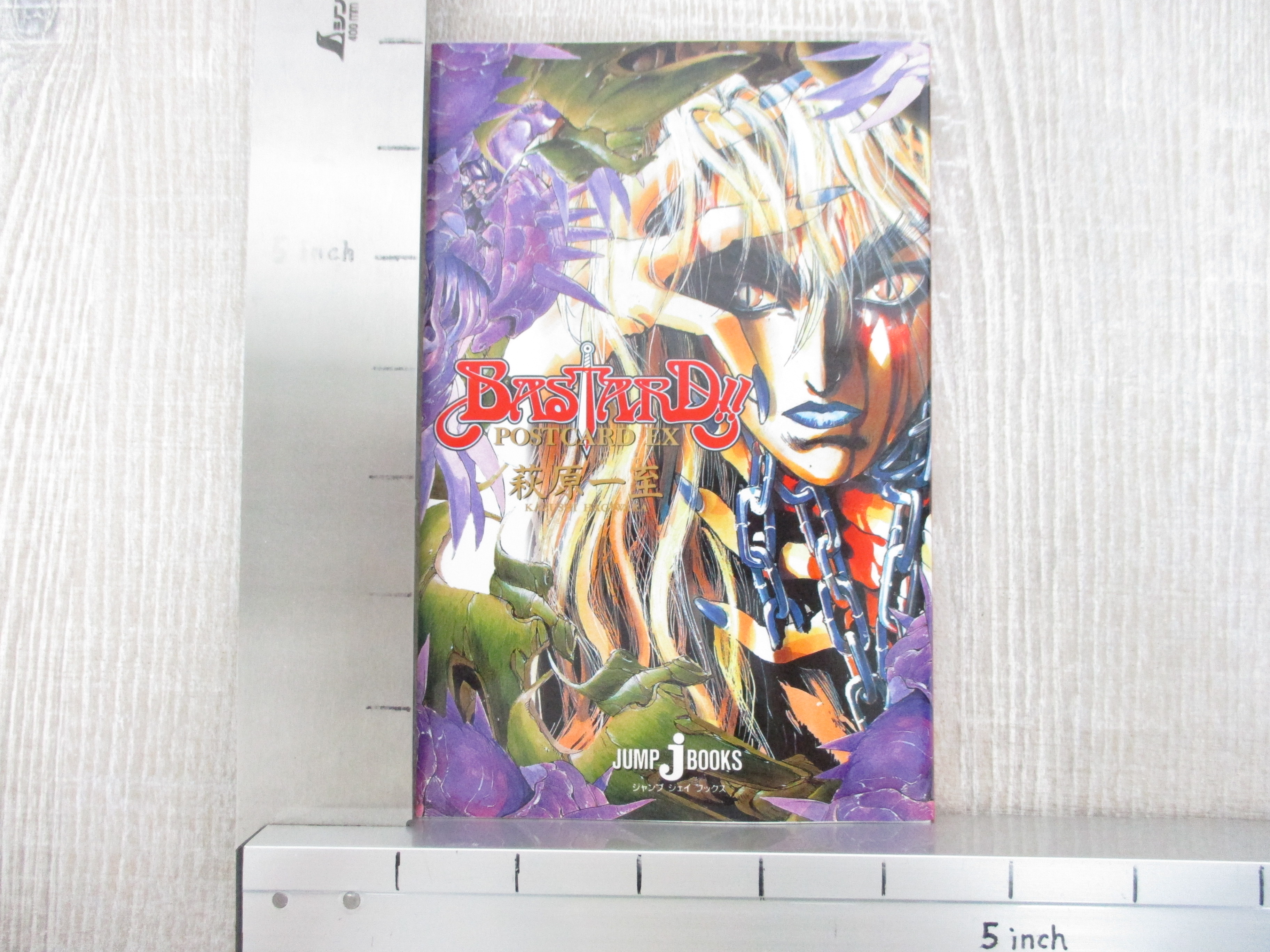 BASTARD POSTCARD EX KAZUSHI HAGIWARA Art Works Fan Book