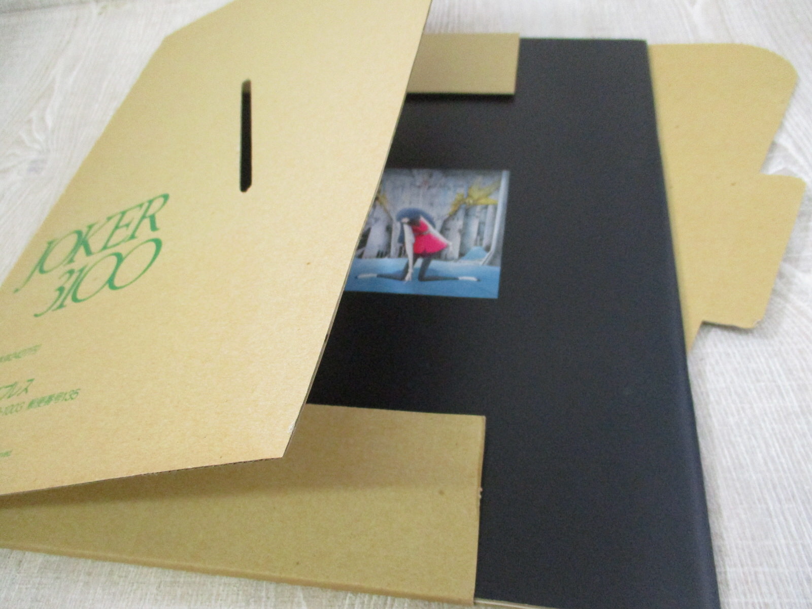 MAMORU NAGANO Art Works JOKER 3100 in Case Book Five Star