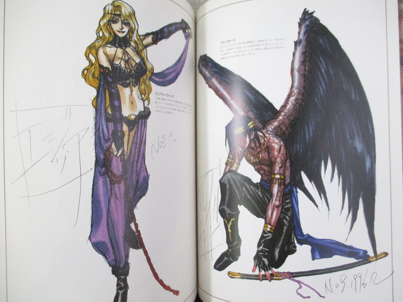 NOBUTERU YUKI Doujin Art Book RALFILIA SAGA 2009 The Man in