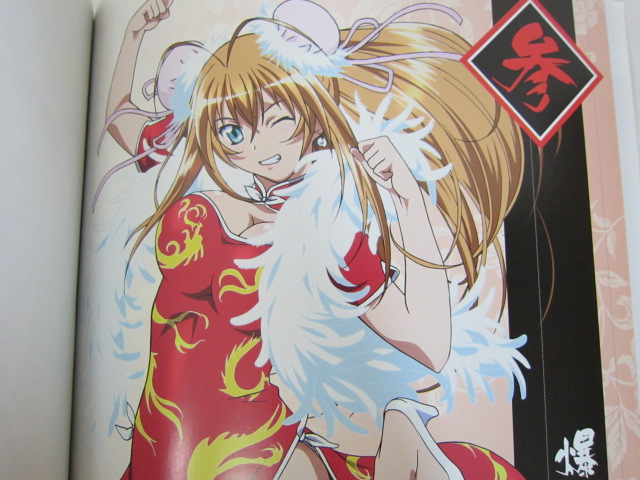 IKKI TOUSEN BATTLE VIXENS Art Works Bakunyu no Sho w/Poster & CD