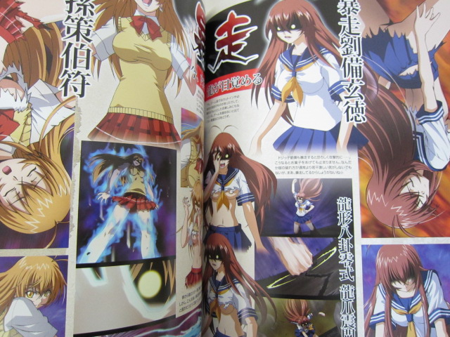 IKKI TOUSEN BATTLE VIXENS Art Works Bakunyu no Sho w/Poster & CD