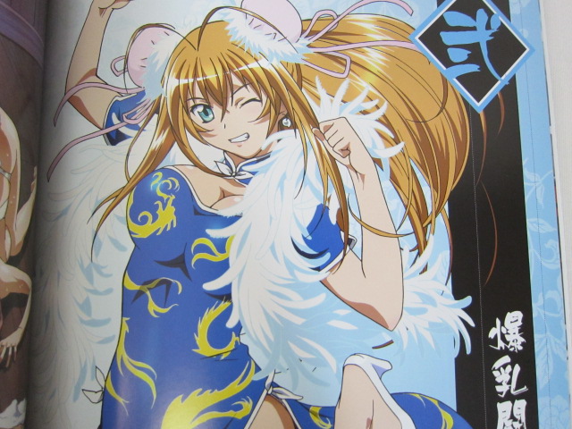 IKKI TOUSEN BATTLE VIXENS Art Works Bakunyu no Sho w/Poster & CD