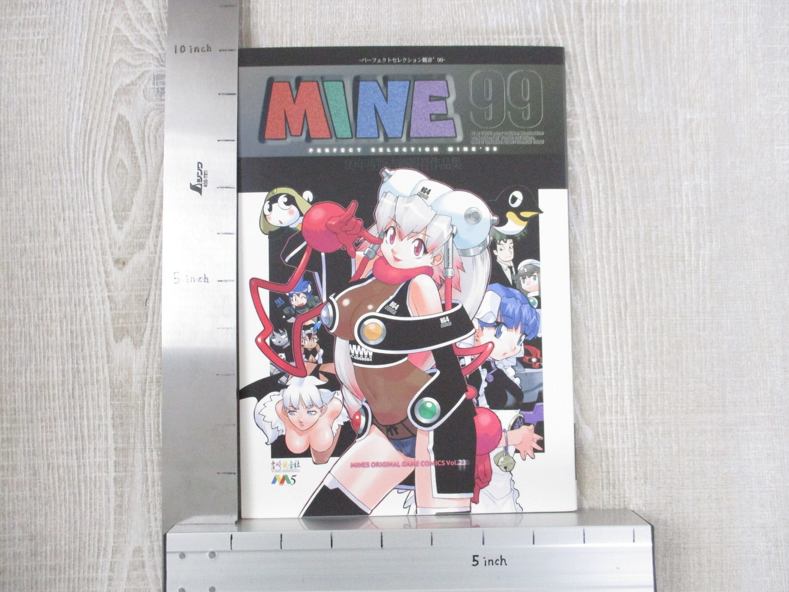 MINE YOSHIZAKI PERFECT SELECTION '99 Art Game Comic Doujin Book