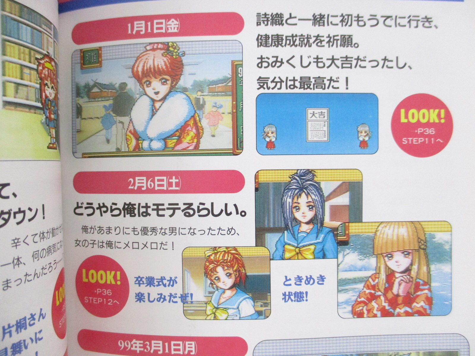 TOKIMEKI MEMORIAL Densetsu no Ki no Shita de Guide Super