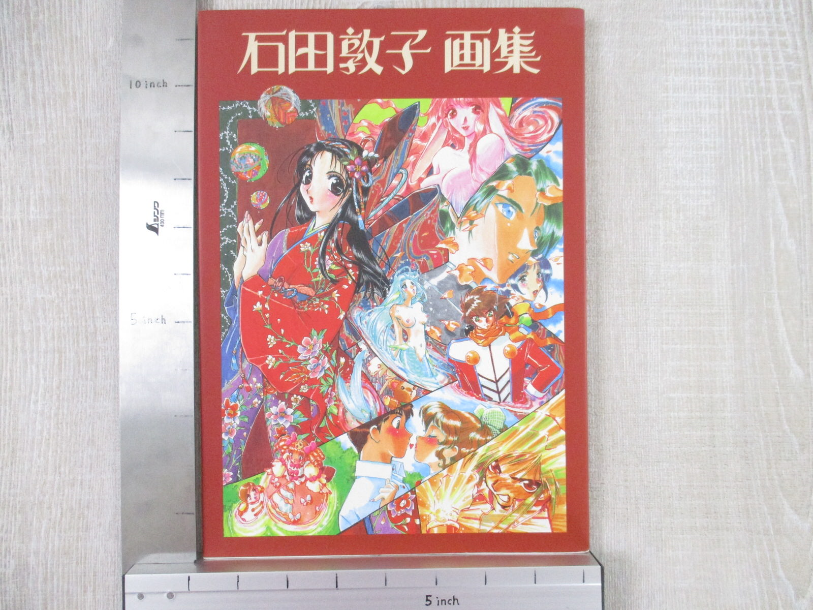 画集 91-Gv6bcY0L._AC_UF350,