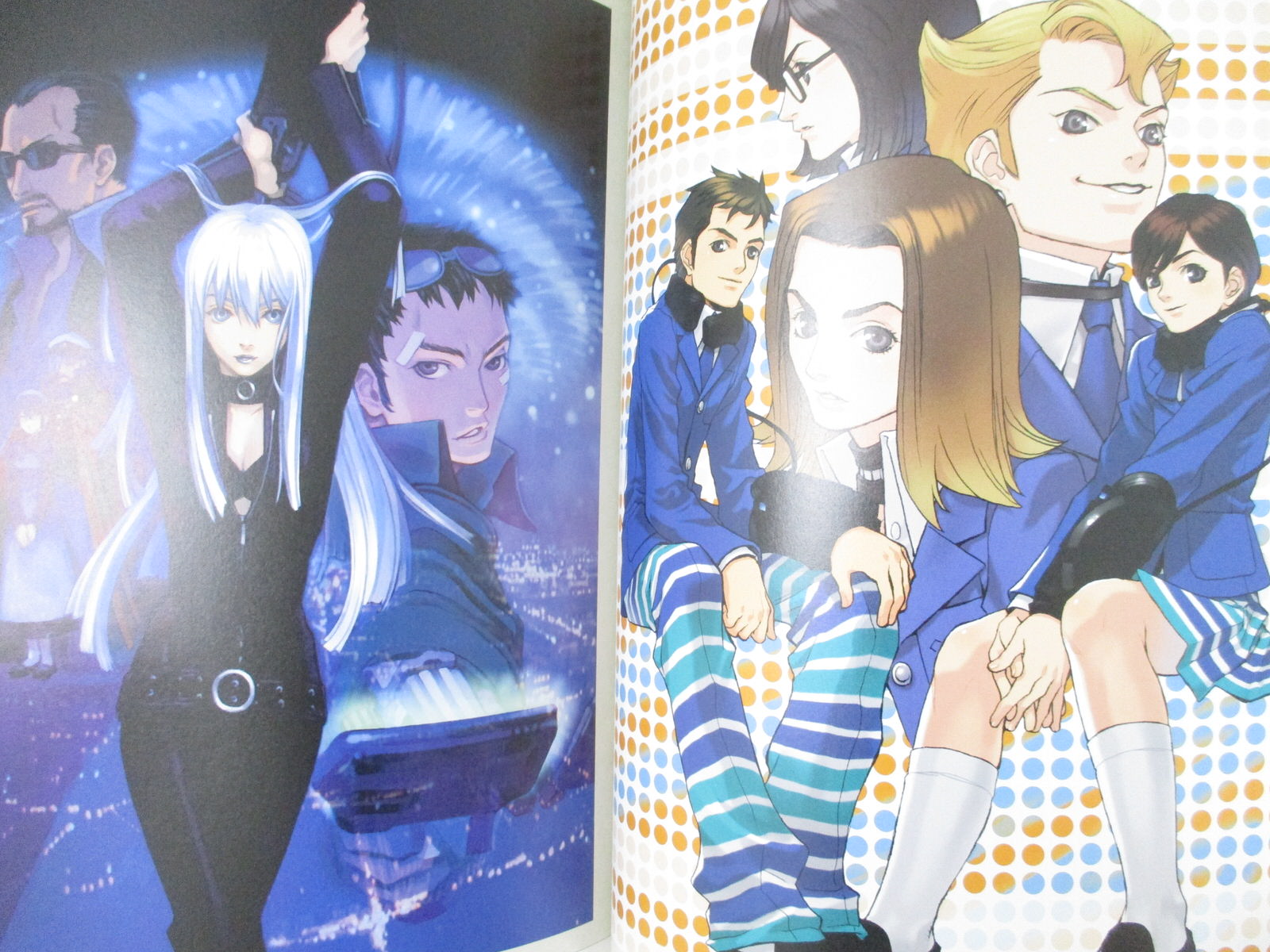 MINAKO IWASAKI Art Works w/Poster Ys V Legend of Heroes IV