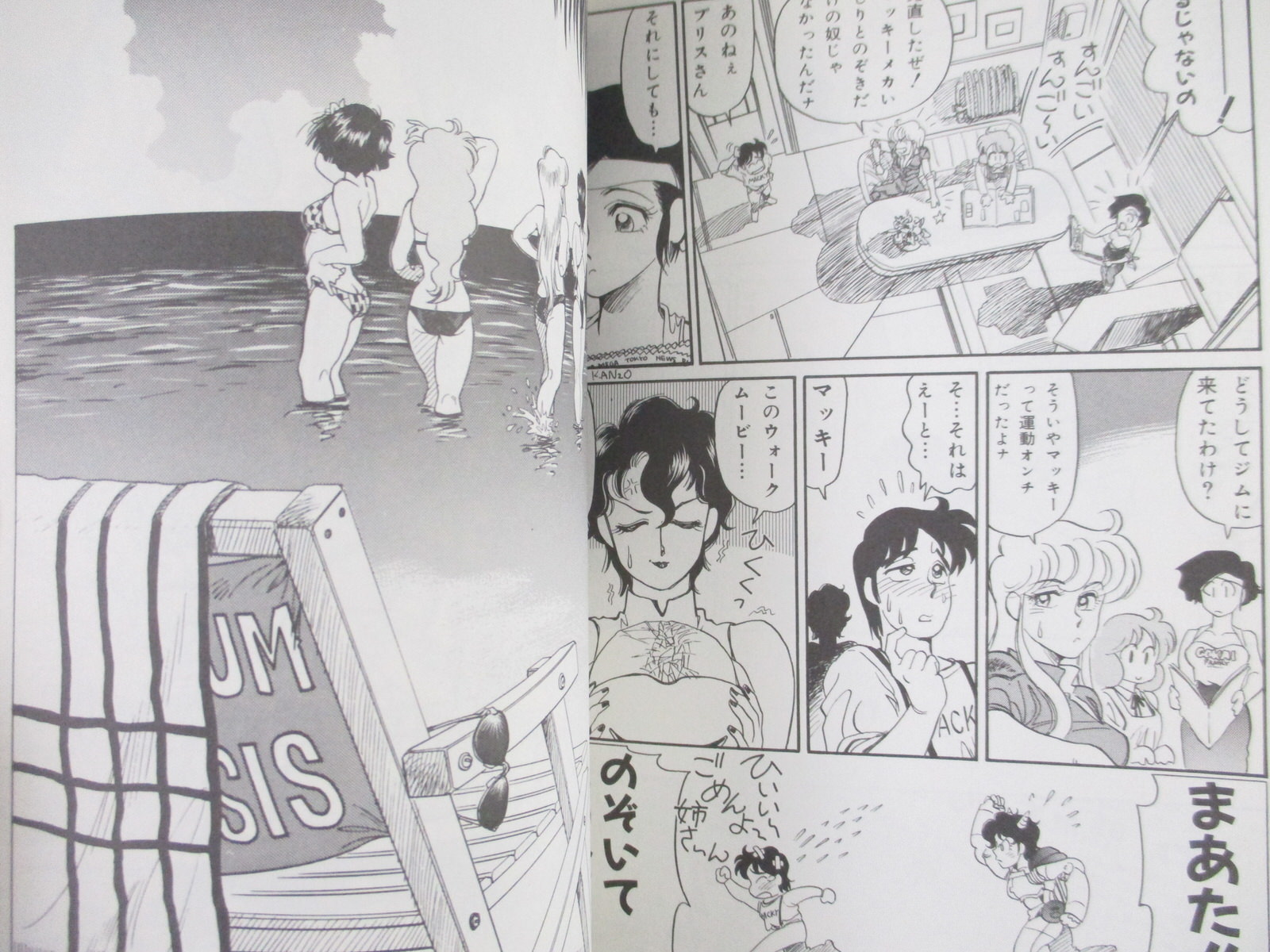 GO GO SABERS Bubblegum Crisis Side Story Manga Comic T. Kazuka