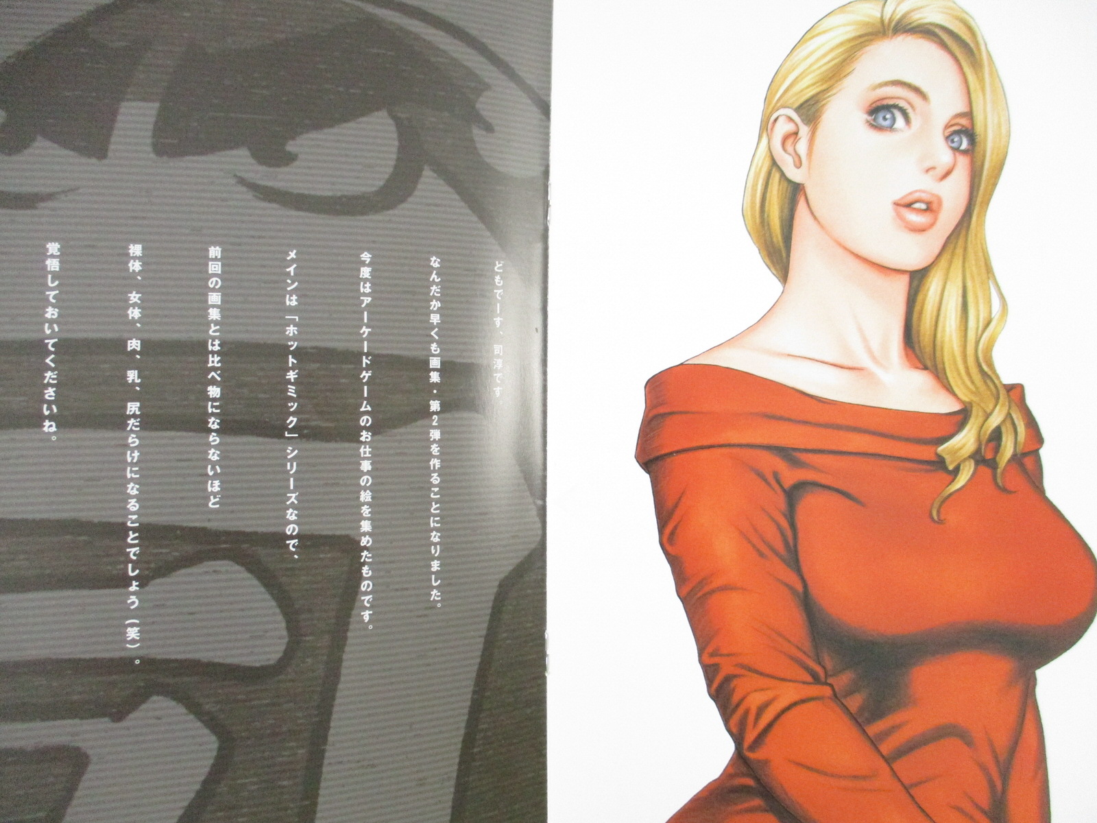 版画 Jun JUN TSUKASA Doujin Art Works TSUKASADAMA Bullet Second Book