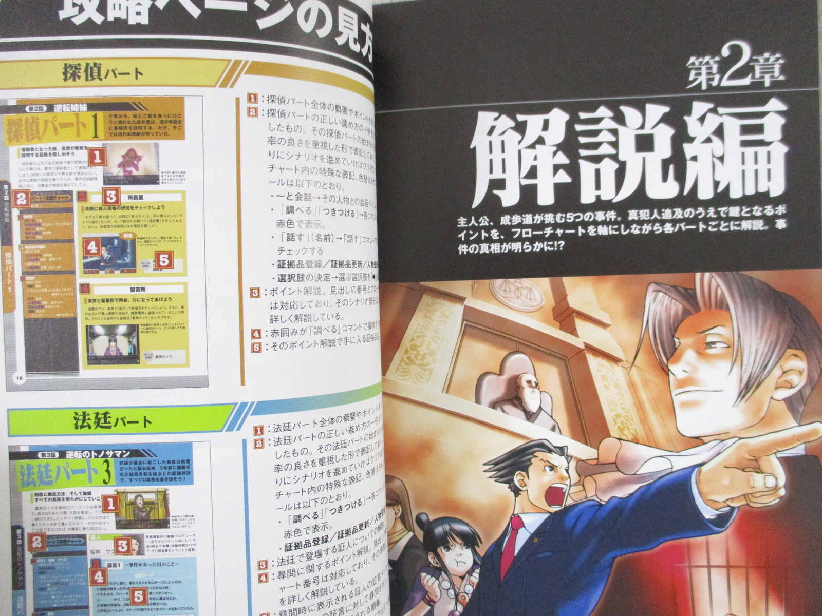 GYAKUTEN SAIBAN Ace Attorney Official Complete Guide DS Book