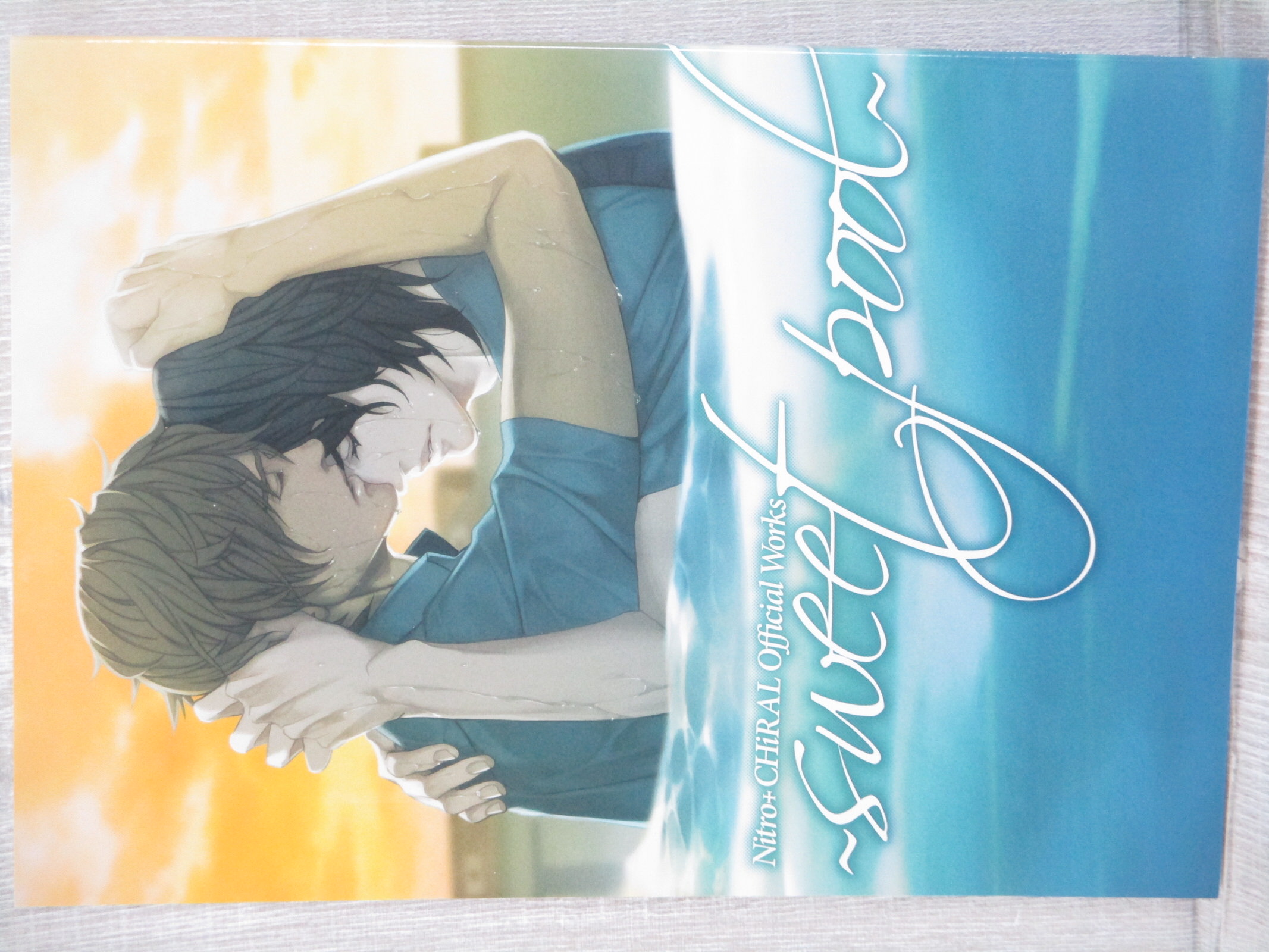 SWEET POOL Nitro+ChiRAL Official Art Works 2009 Japan Ltd