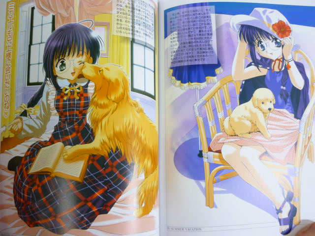 オランダ語 絵本 HetHet prinsessenboek デザイン アート SISTER PRINCESS Characters Art Illustration Book MW7x* | eBay
